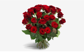 Rode rozen, Pure liefde