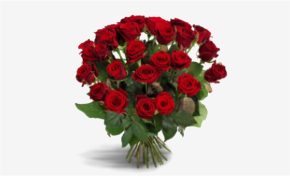 Rode rozen
